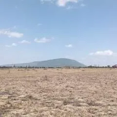 Kate photo on Jungo Live