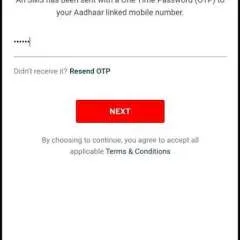 Cute Couple photo on Jungo Live