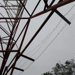 Isham photo on Jungo Live