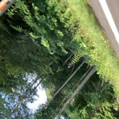 Dcb........ photo on Jungo Live