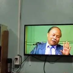 Littlelion photo on Jungo Live