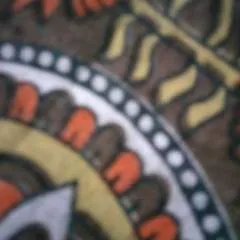 Avi photo on Jungo Live