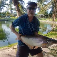 Bev’s photo on Jungo Live