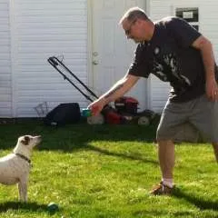 Teddy photo on Jungo Live