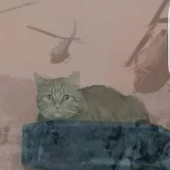 Shyboy27 photo on Jungo Live