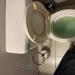 Colonel .... photo on Jungo Live