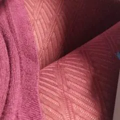 Adam & Eve photo on Jungo Live