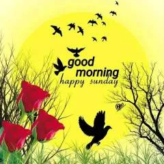 Jayesh photo on Jungo Live