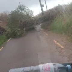 Jonney photo on Jungo Live