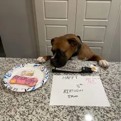 Jenks Couple photo on Jungo Live