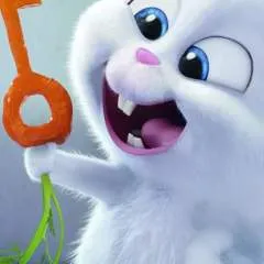 Jr photo on Jungo Live