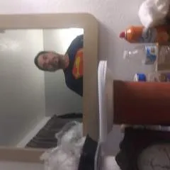 Bullet photo on Jungo Live