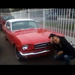 Alex.... photo on Jungo Live