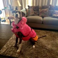 Krista Aka The Unicorn photo on Jungo Live