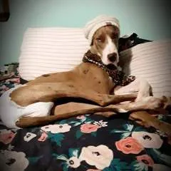 Krista Aka The Unicorn photo on Jungo Live