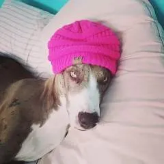 Krista Aka The Unicorn photo on Jungo Live