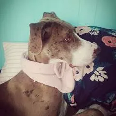 Krista Aka The Unicorn photo on Jungo Live