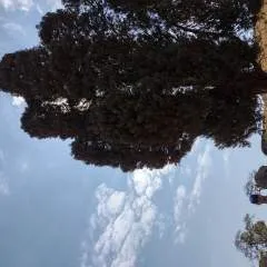 Marcos Rodrigues photo on Jungo Live