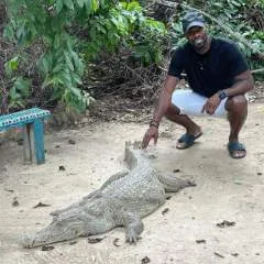 Vmac.... photo on Jungo Live