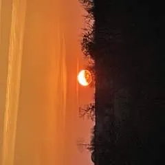 Mv photo on Jungo Live