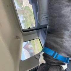 Young.... photo on Jungo Live