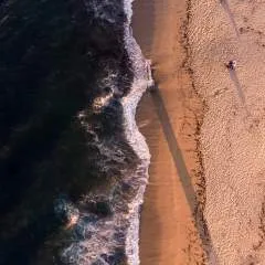 Dino........ photo on Jungo Live