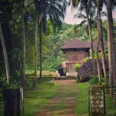 Shubh photo on Jungo Live