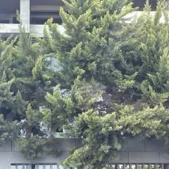 Shubh photo on Jungo Live