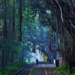 Shubh photo on Jungo Live