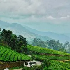 Shubh photo on Jungo Live