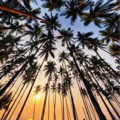 Shubh photo on Jungo Live