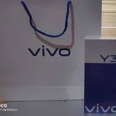 Chard photo on Jungo Live