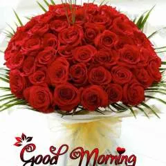 Good Boy photo on Jungo Live