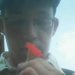 Laimk.... photo on Jungo Live