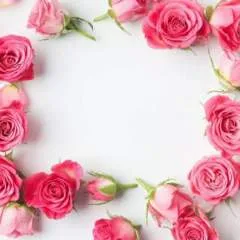 Anikta photo on Jungo Live