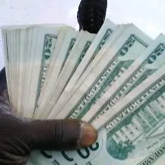 Primo photo on Jungo Live