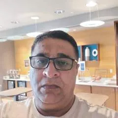 Golden Wing photo on Jungo Live