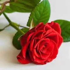 Turkfucker photo on Jungo Live