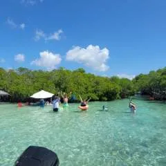 Pirata photo on Jungo Live