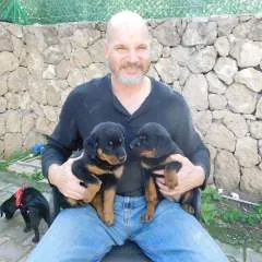 Sir Mal photo on Jungo Live