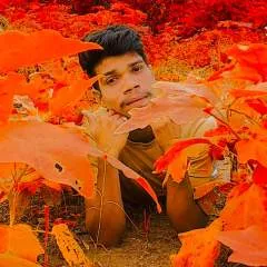 Utsav It's Mhow City photo on Jungo Live