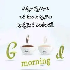 Sunny photo on Jungo Live