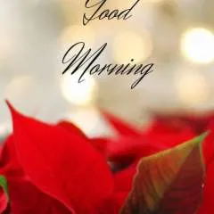 Sunny photo on Jungo Live