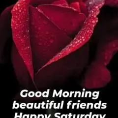 Sunny photo on Jungo Live