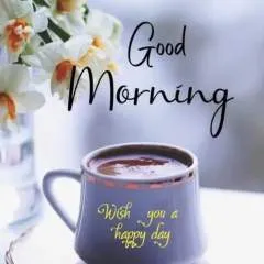 Sunny photo on Jungo Live