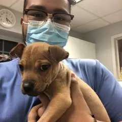 Handro photo on Jungo Live