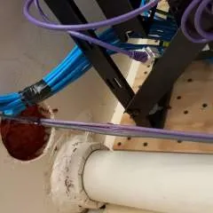 Penny photo on Jungo Live