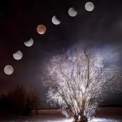 Lewis photo on Jungo Live