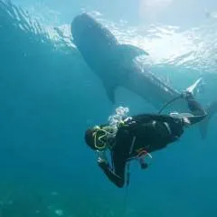 Nick John photo on Jungo Live