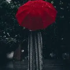 Mk photo on Jungo Live